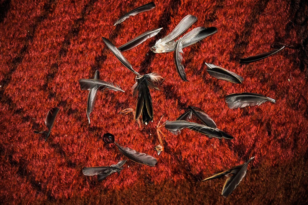 RUINS 5 - Remains of the Day