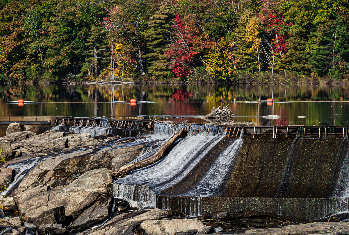 DEMAURIAC_CAROLINE_BEYOND THE ANTHROPOCENE_1