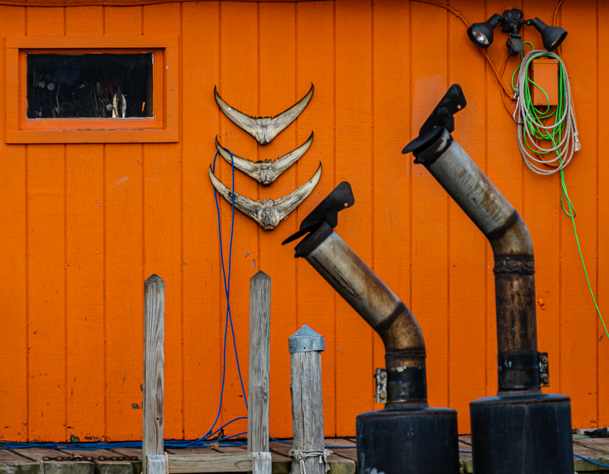 DEMAURIAC_CAROLINE_BEYOND THE ANTHROPOCENE_3