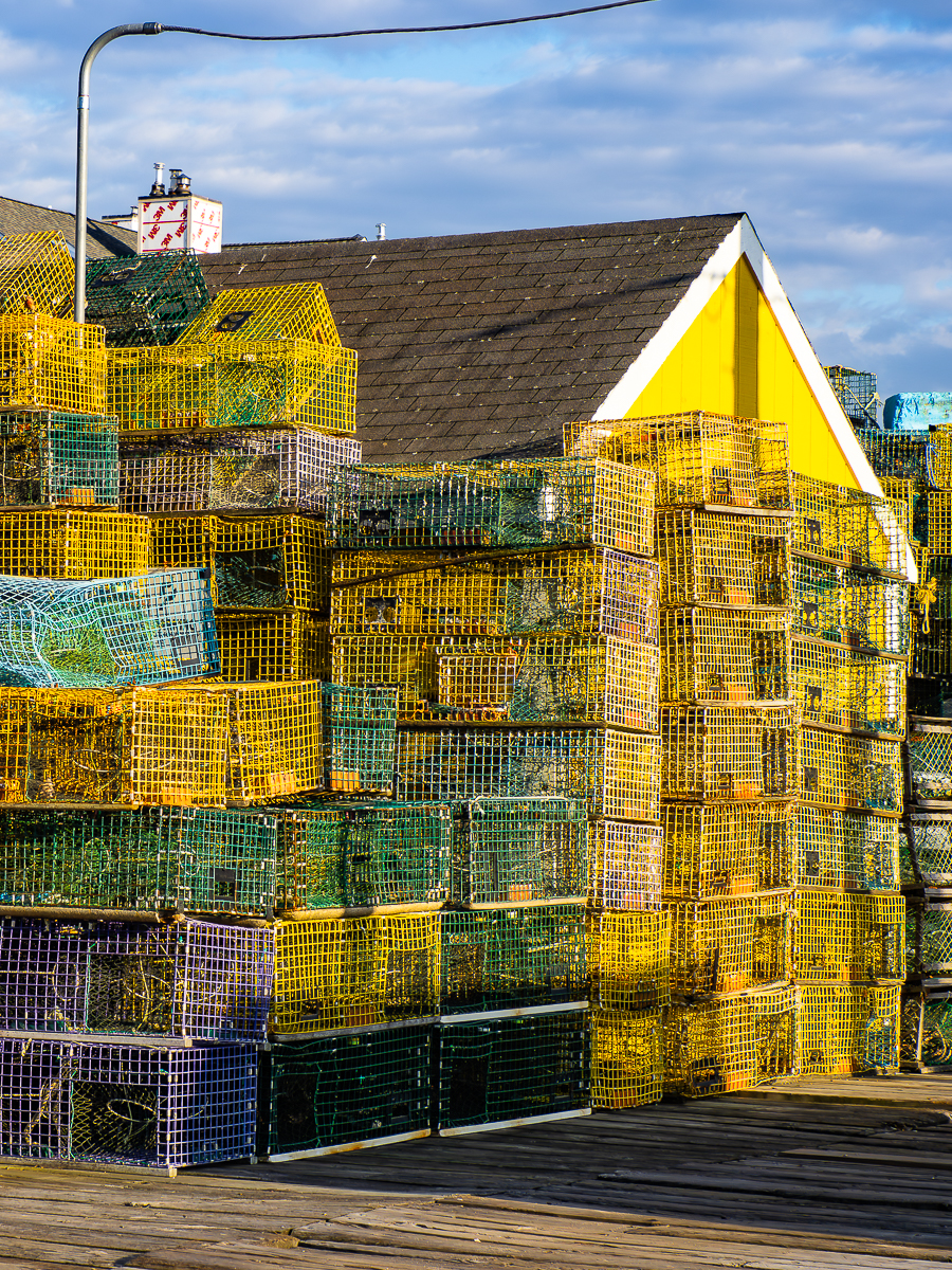 DEMAURIAC_CAROLINE_BEYOND THE ANTHROPOCENE_4