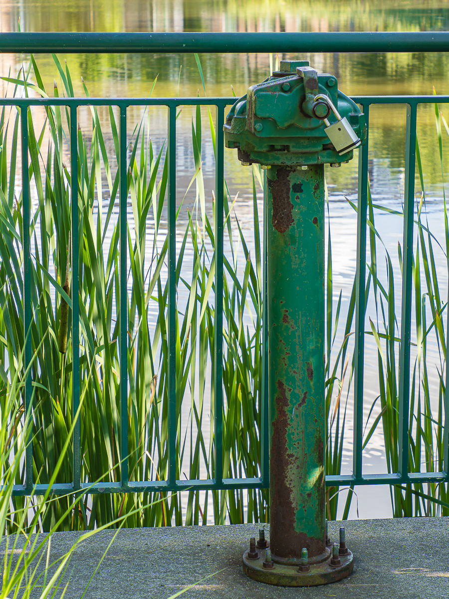 DEMAURIAC_CAROLINE_BEYOND THE ANTHROPOCENE_2