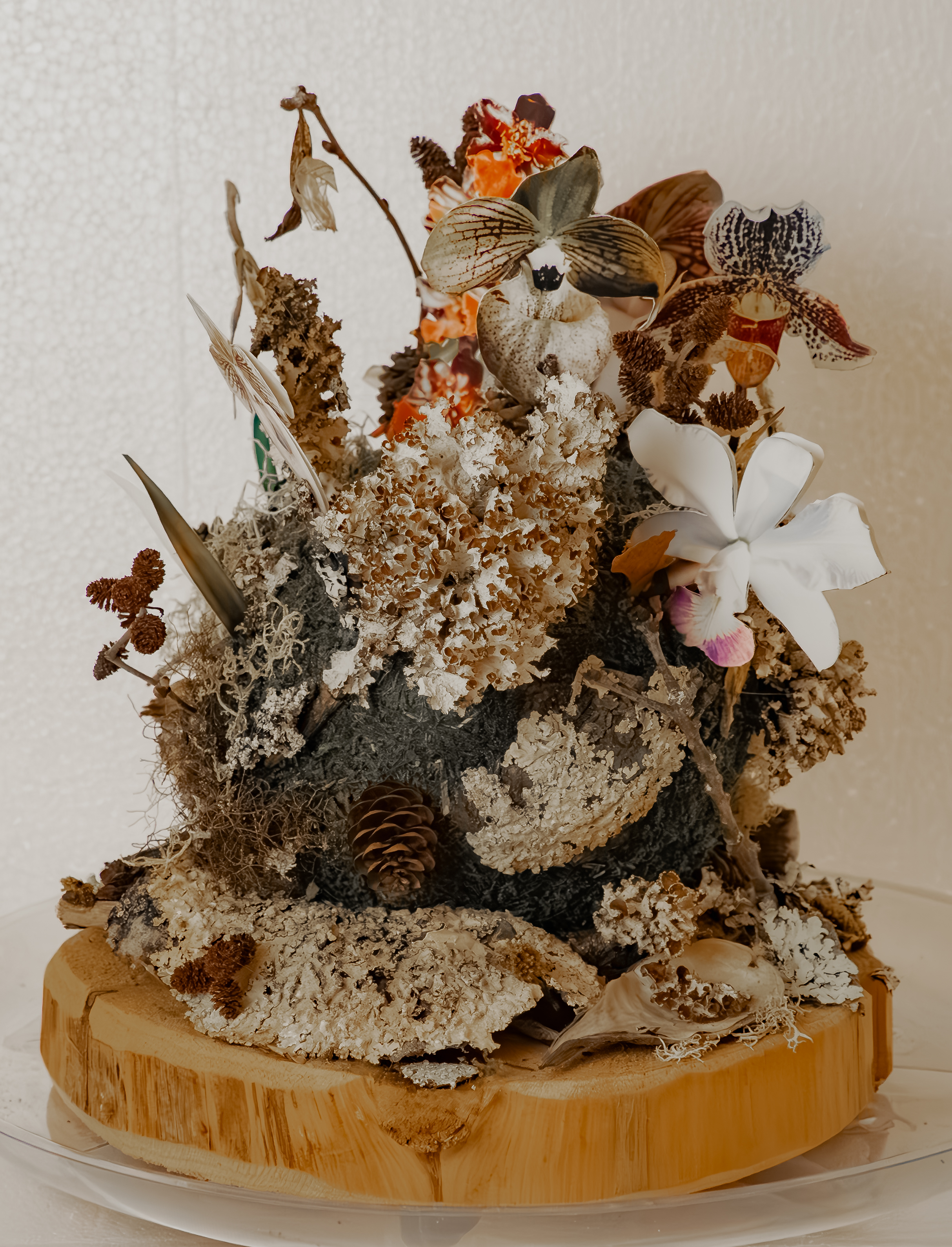 Assemblage - Earthsong