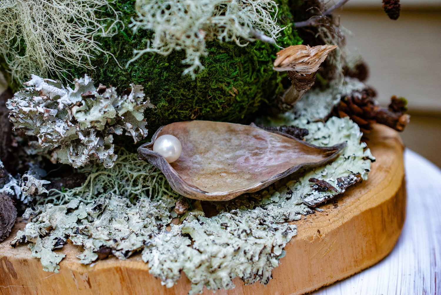 Assemblage - Earthsong