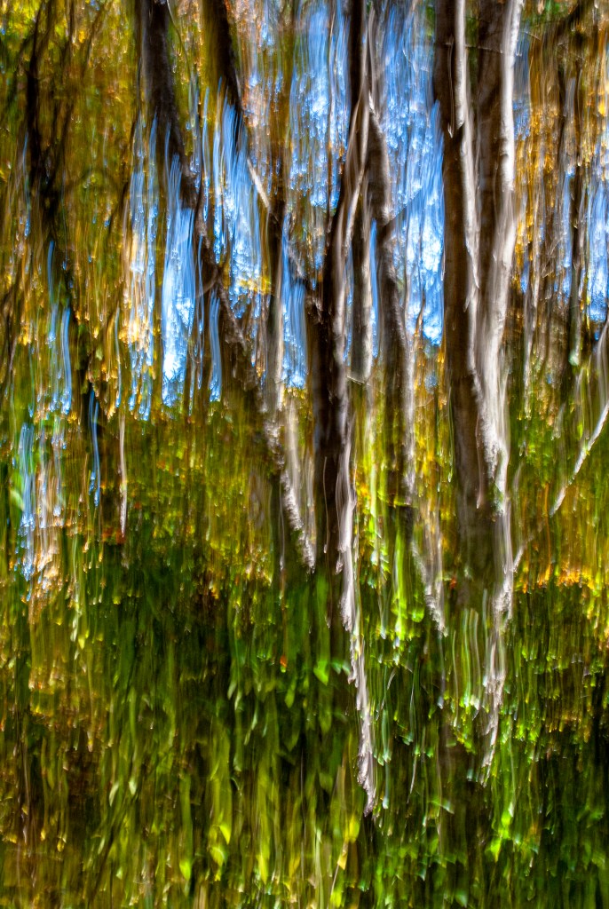 EVERYTHING BREATHES - 4