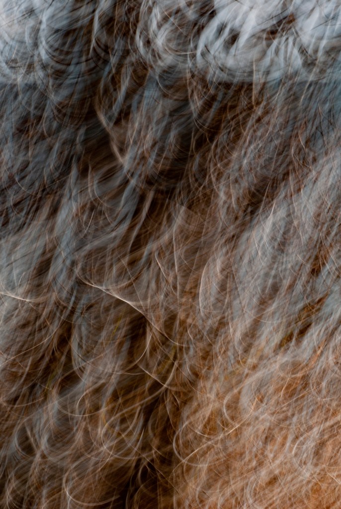 EVERYTHING BREATHES - 11