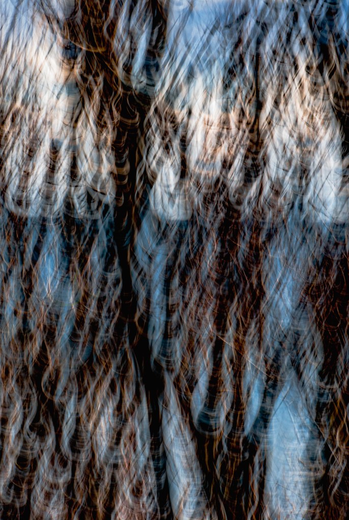 EVERYTHING BREATHES - 12