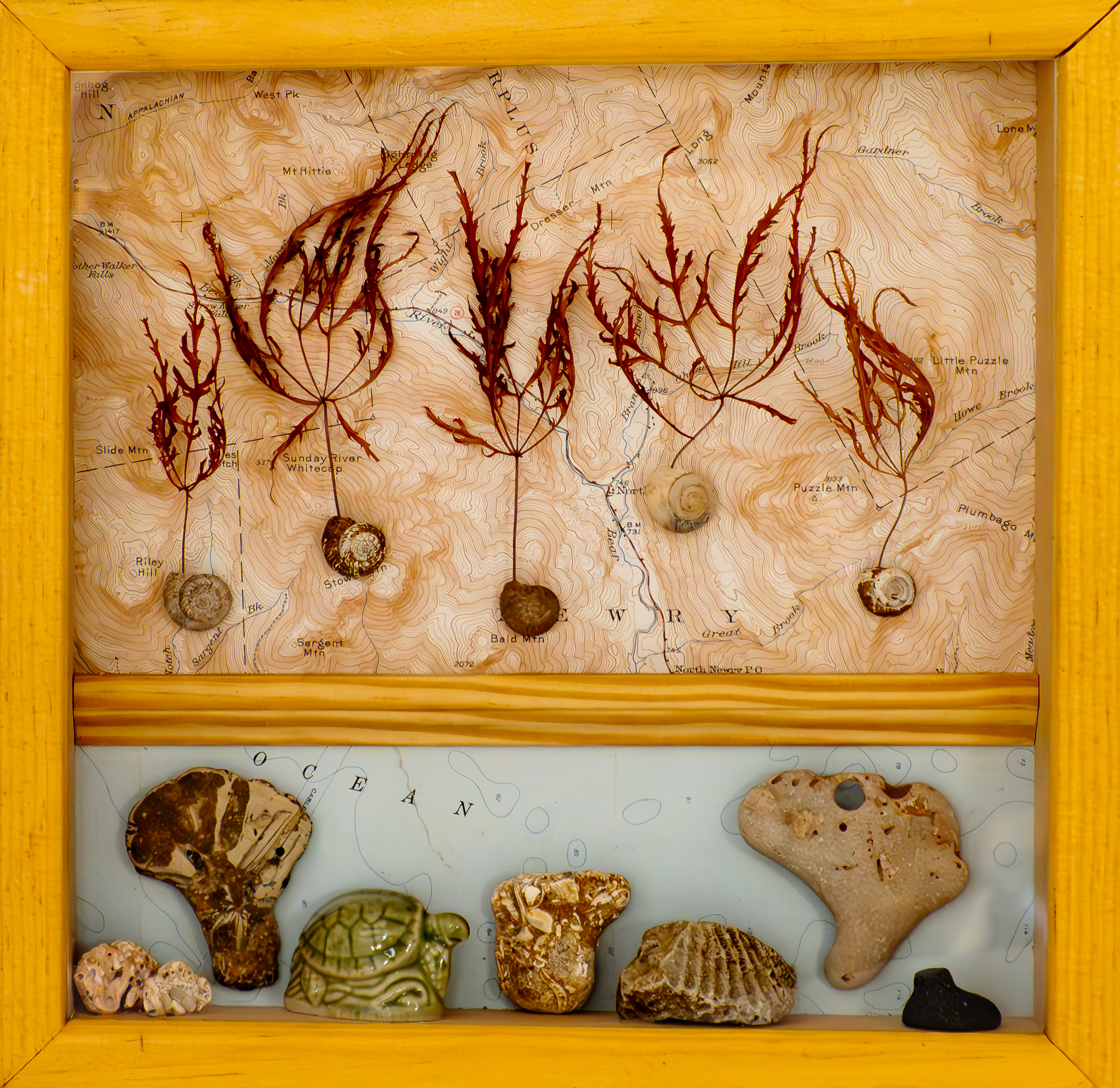 Assemblage - Journey Vignettes