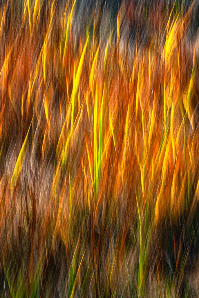 EVERYTHING BREATHES - 5