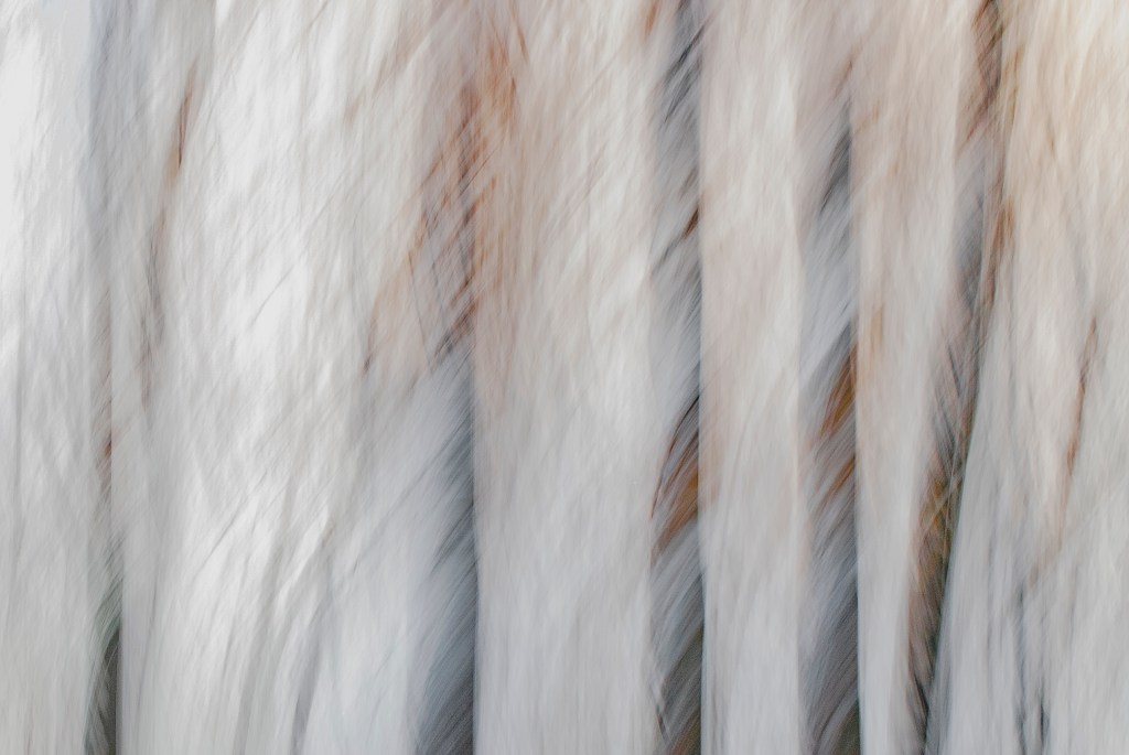 EVERYTHING BREATHES - 6