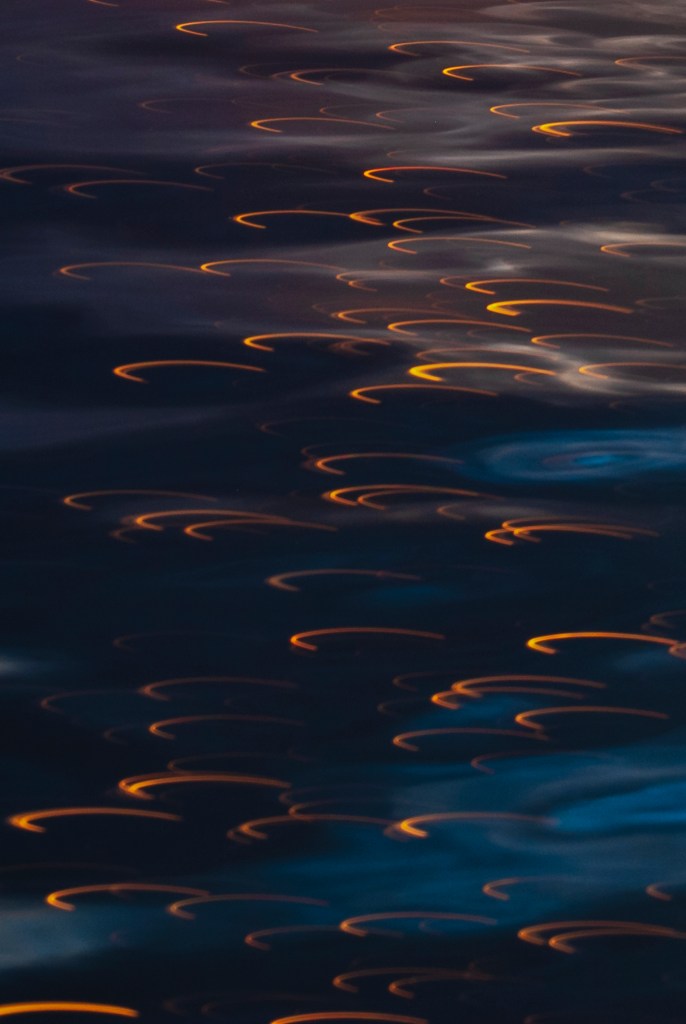 EVERYTHING BREATHES - 14