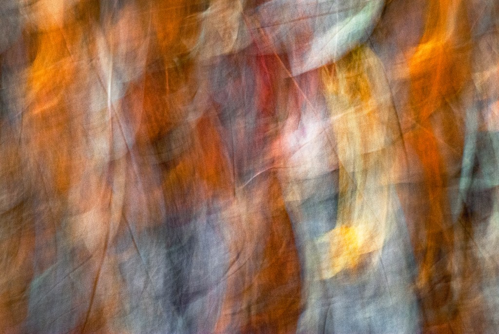 EVERYTHING BREATHES - 7