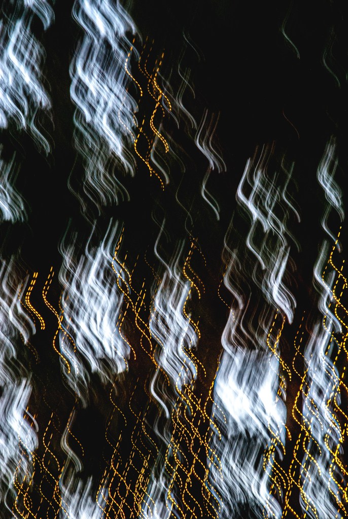 EVERYTHING BREATHES - 13